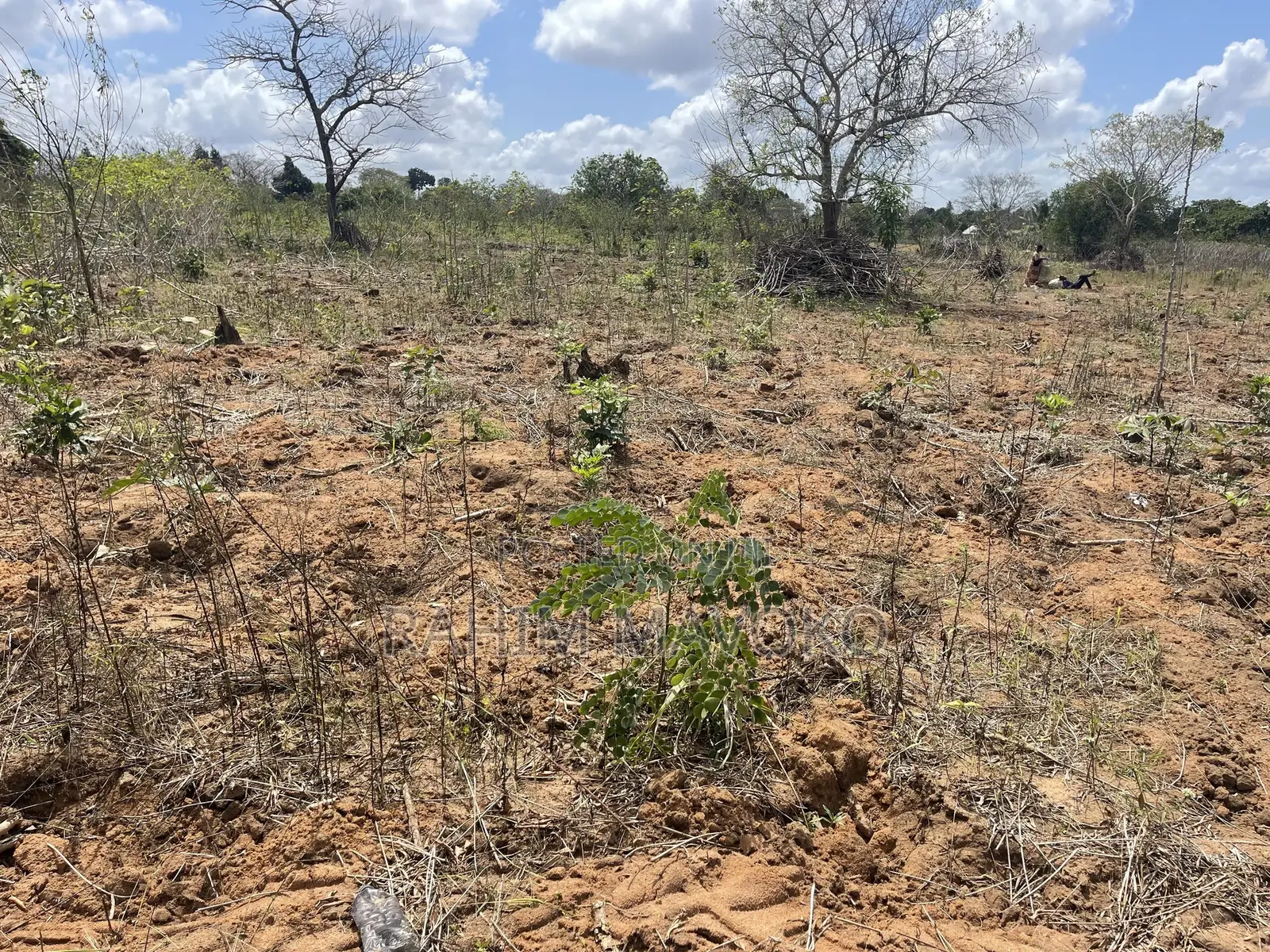 Shamba Linauzwa Kiwangwa Bago Hekari 7