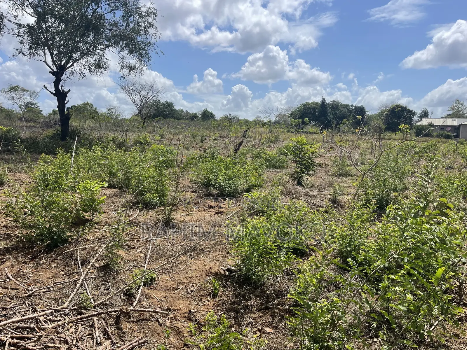 Shamba Linauzwa Kiwangwa Bago Hekari 7