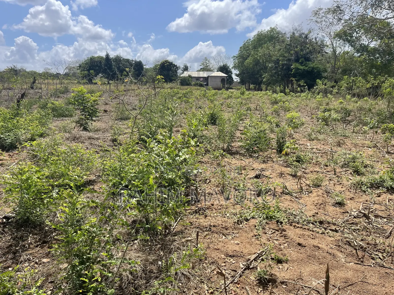Shamba Linauzwa Kiwangwa Bago Hekari 7