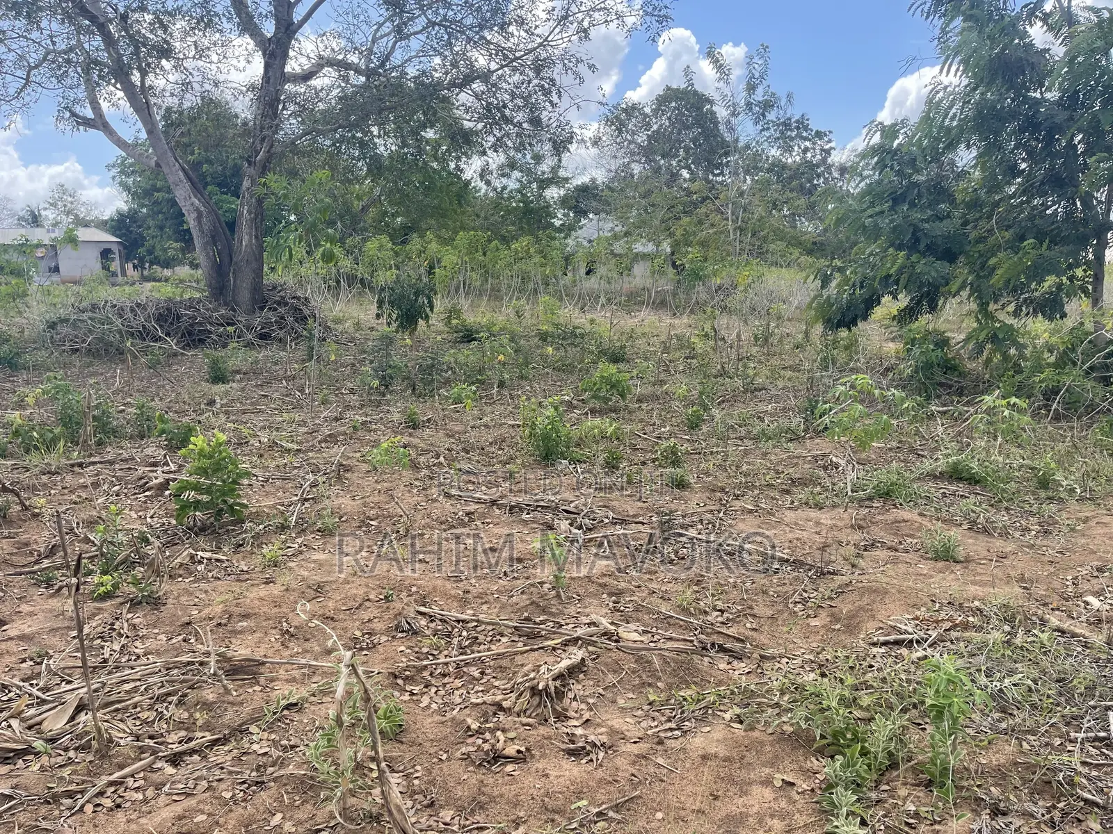 Shamba Linauzwa Kiwangwa Bago Hekari 7