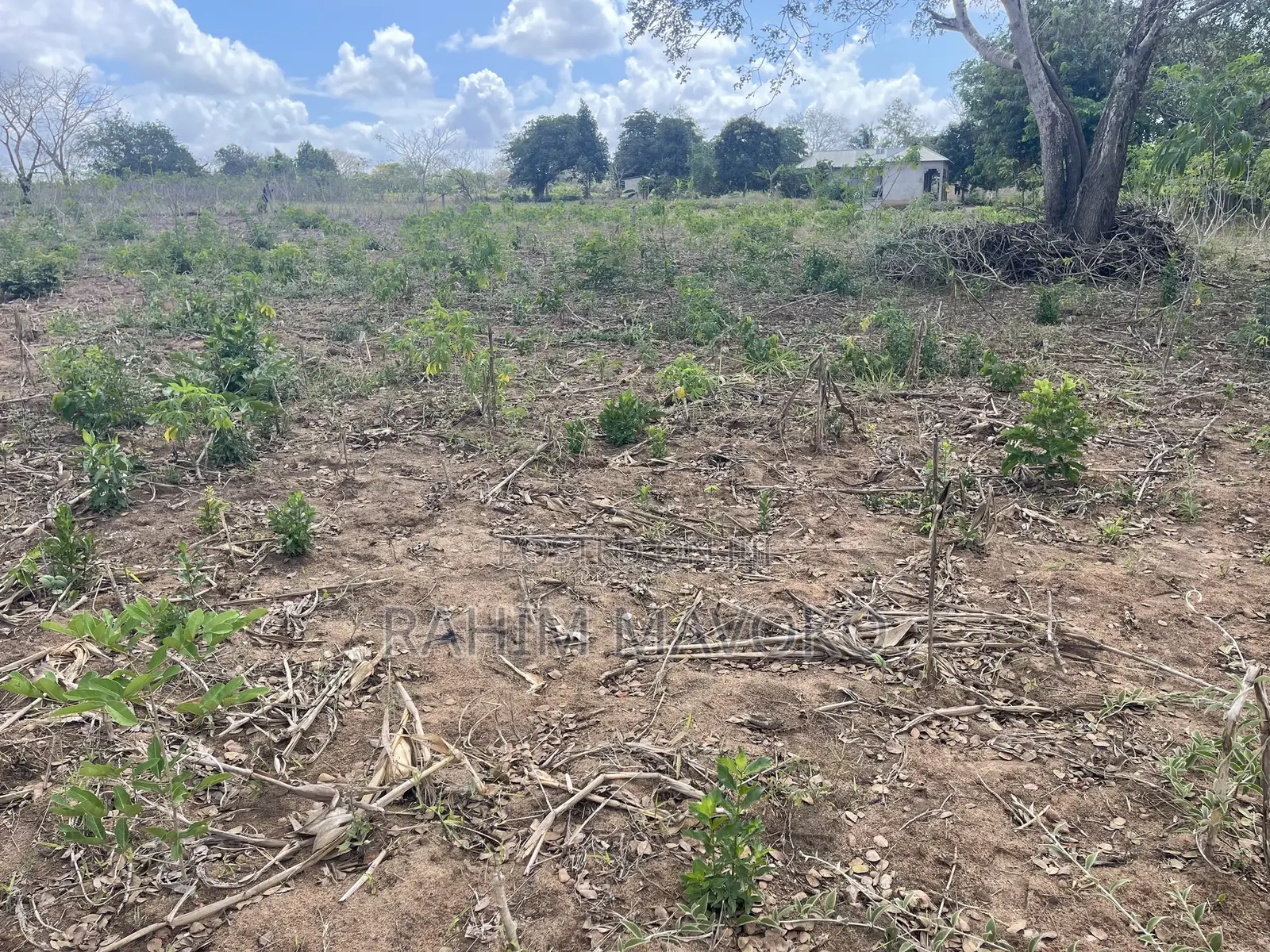 Shamba Linauzwa Kiwangwa Bago Hekari 7
