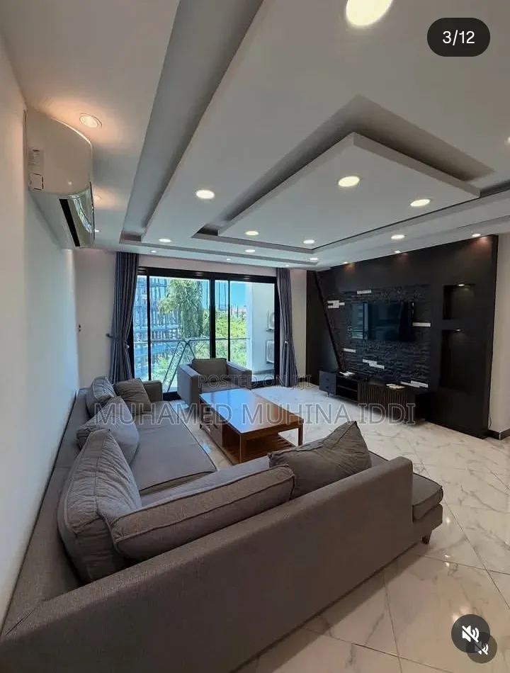 Furnished 3bdrm Apartment in Masaki for rent