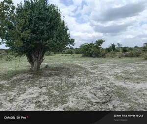 Shamba Linauzwa Bagamoyo