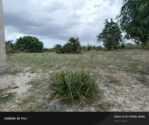 Shamba Linauzwa Bagamoyo
