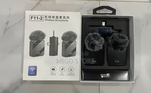 Wireless Microphone