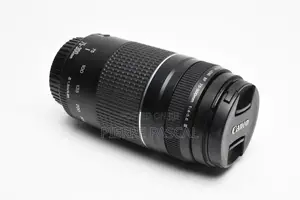 Canon Ef 75-300mm F/4-5.6 Iii Usm Lens