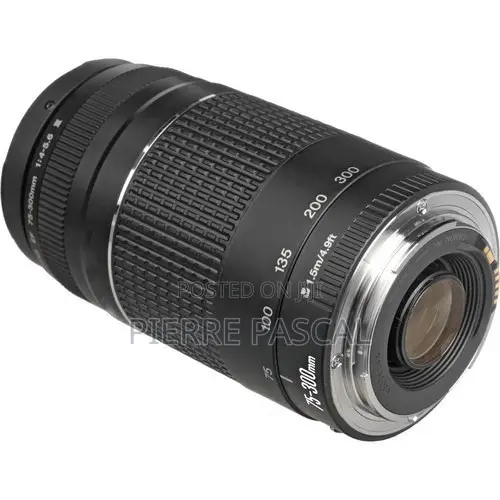 Canon Ef 75-300mm F/4-5.6 Iii Usm Lens
