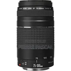 Canon Ef 75-300mm F/4-5.6 Iii Usm Lens