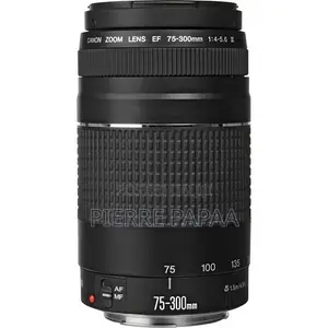 Canon Ef 75-300mm F/4-5.6 Iii Usm Lens