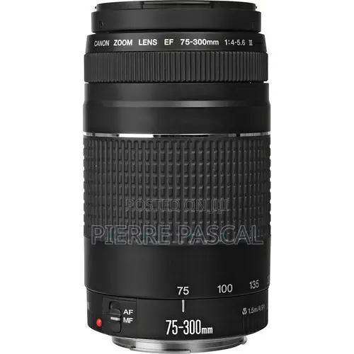 Canon Ef 75-300mm F/4-5.6 Iii Usm Lens
