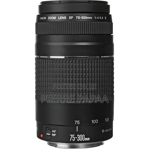Canon Ef 75-300mm F/4-5.6 Iii Usm Lens