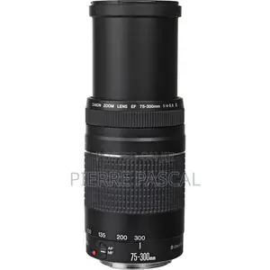 Canon Ef 75-300mm F/4-5.6 Iii Usm Lens