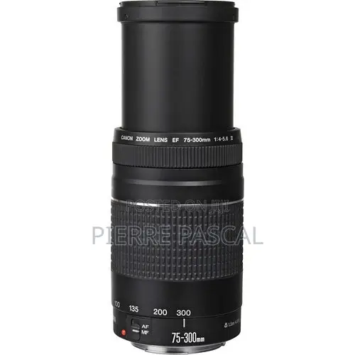 Canon Ef 75-300mm F/4-5.6 Iii Usm Lens