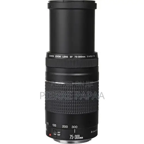 Canon Ef 75-300mm F/4-5.6 Iii Usm Lens