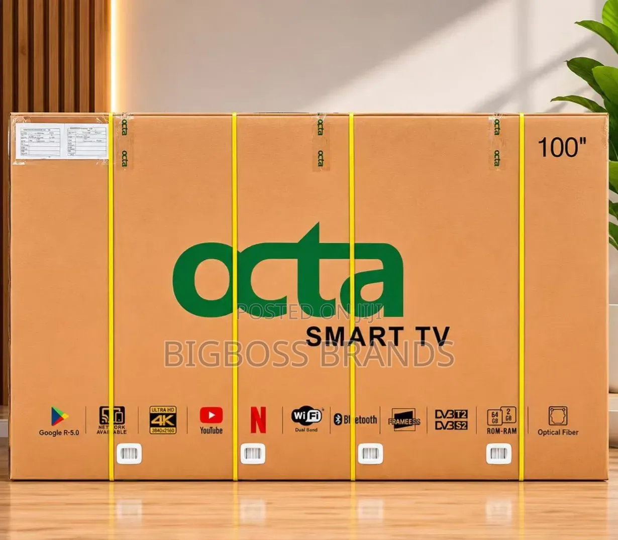 Octa Google TV 100 Inches