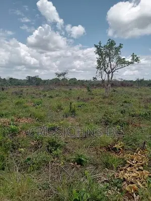 Shamba La 114 Acres Ruvu - Mlandizi