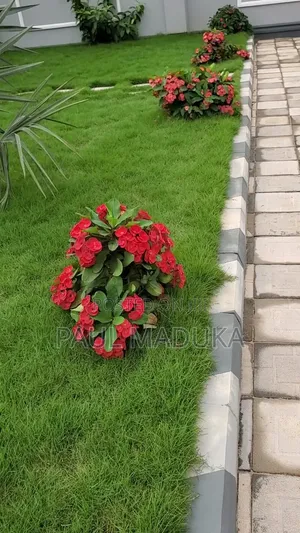 Karibu Kwa Huduma Ya Ujenzi,land Scaping,upakaji Rangi Na Uezekaji