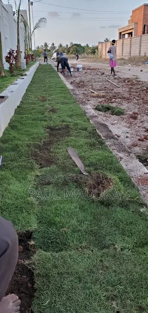 Karibu Kwa Huduma Ya Ujenzi,land Scaping,upakaji Rangi Na Uezekaji