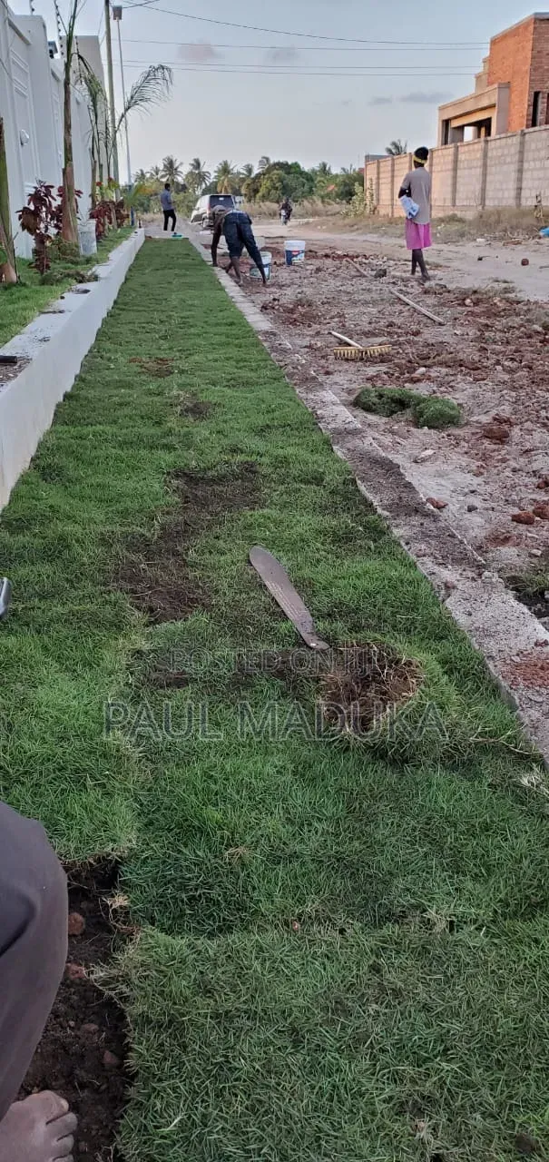 Karibu Kwa Huduma Ya Ujenzi,land Scaping,upakaji Rangi Na Uezekaji