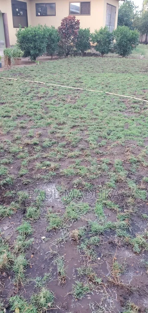 Karibu Kwa Huduma Ya Ujenzi,land Scaping,upakaji Rangi Na Uezekaji