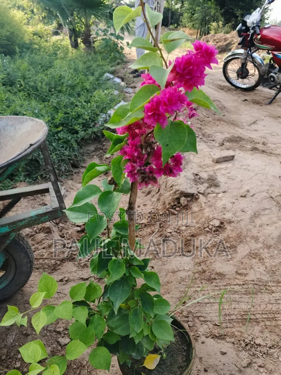 Karibu Kwa Huduma Ya Ujenzi,land Scaping,upakaji Rangi Na Uezekaji