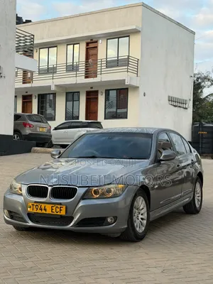 BMW 3 Series 2010 Gray