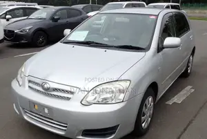 Toyota Allex 2002 Silver