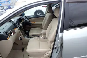 Toyota Allex 2002 Silver