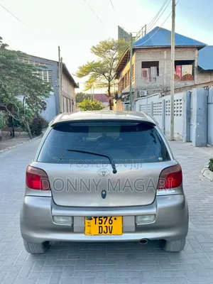 Toyota Vitz 2003 Gray