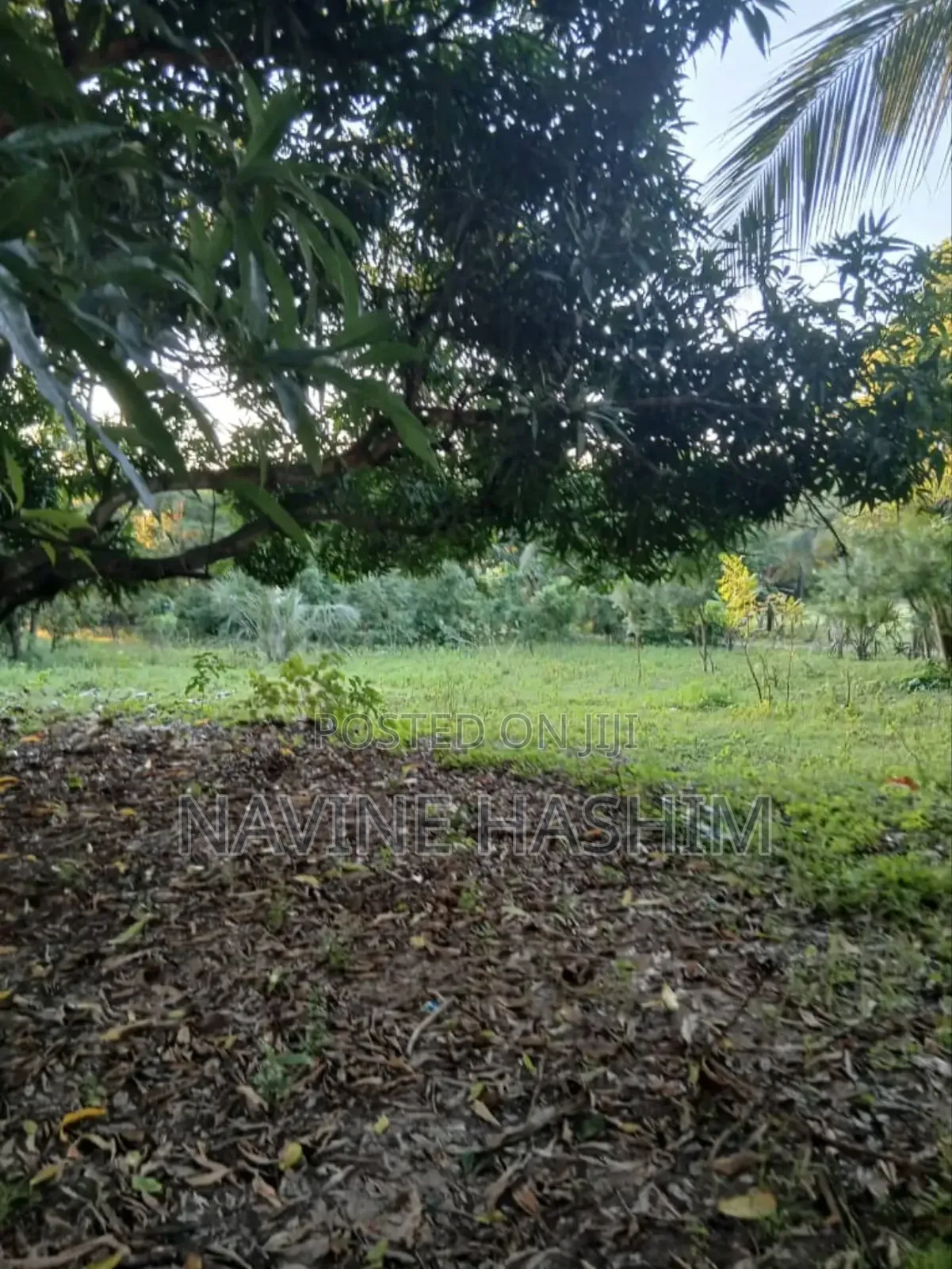 School for Sale in Bagamoyo