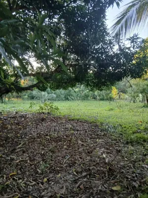 School for Sale in Bagamoyo