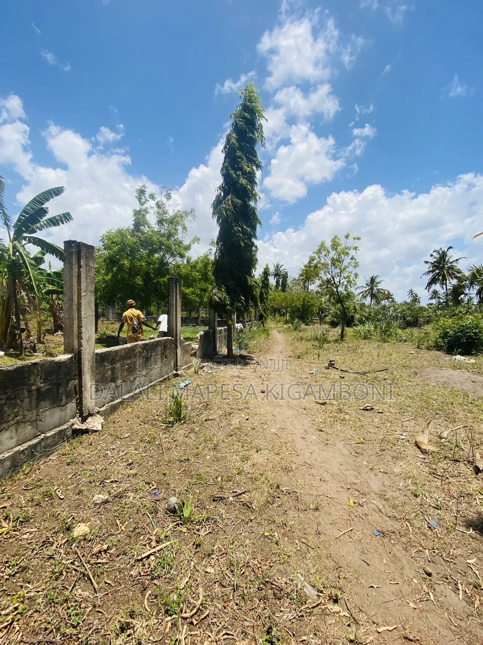 Plot for Sale Gezaulole Kigamboni