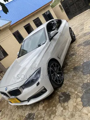 BMW 3 Series 2013 White