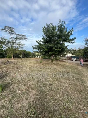 Kiwanja Kinacho Vyuu Bahari Ya Hindi Kinauzwa Mbezi Beach Masana