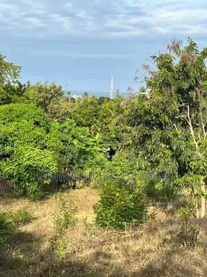 Kiwanja Kinacho Vyuu Bahari Ya Hindi Kinauzwa Mbezi Beach Masana