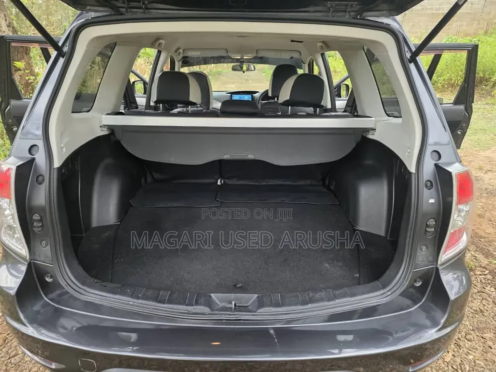 Subaru Forester 2009 Gray