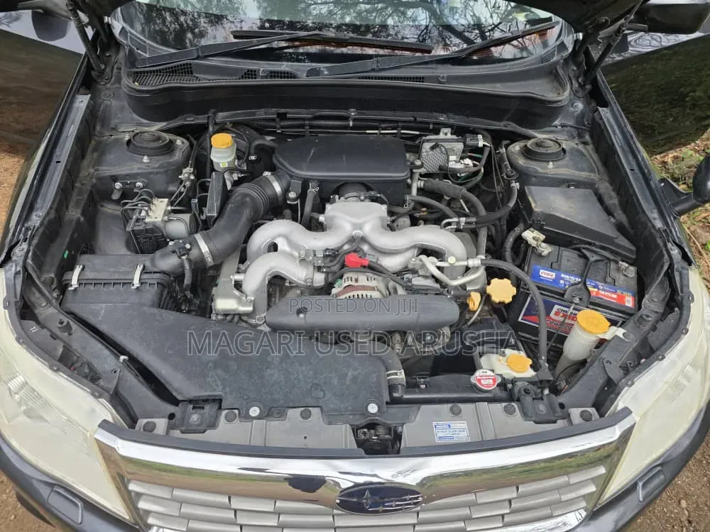 Subaru Forester 2009 Gray