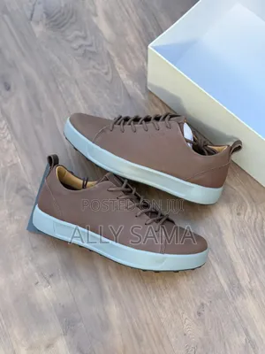 Ecco Shoes Official Material Leather Clean