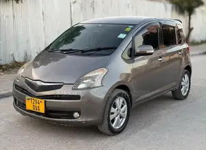 Toyota Ractis 2007 Gray