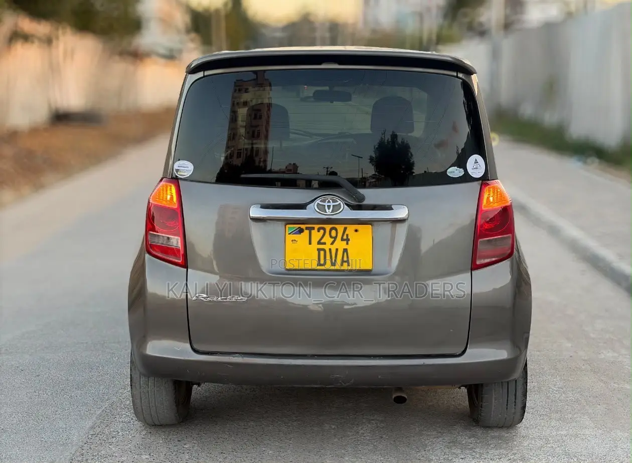 Toyota Ractis 2007 Gray