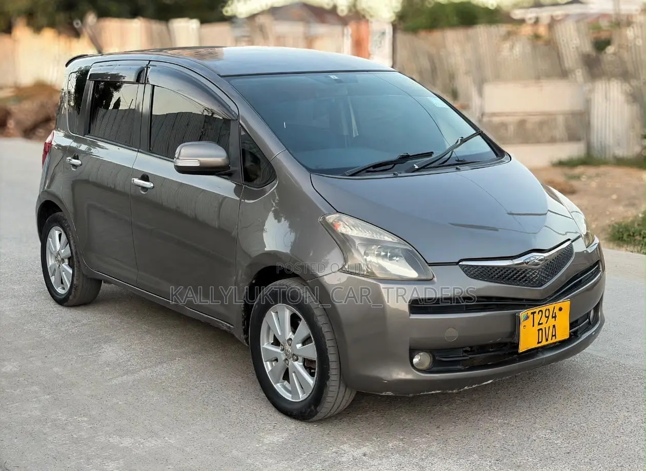 Toyota Ractis 2007 Gray