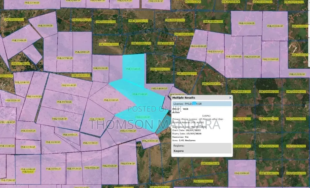 Tin Mining PML – Joint Venture Opportunity | Tanzania