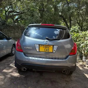 Nissan Murano 2005 Silver