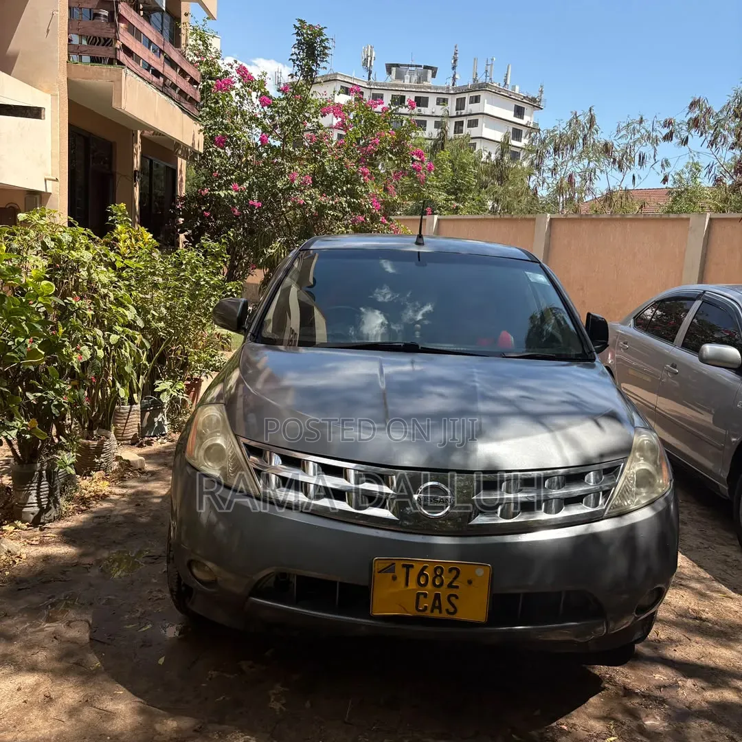 Nissan Murano 2005 Silver