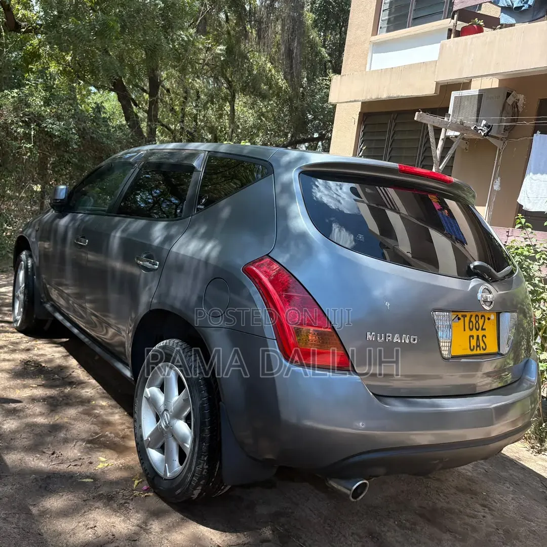 Nissan Murano 2005 Silver