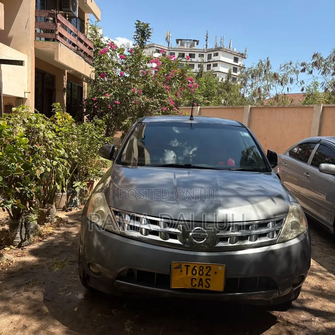 Nissan Murano 2005 Silver