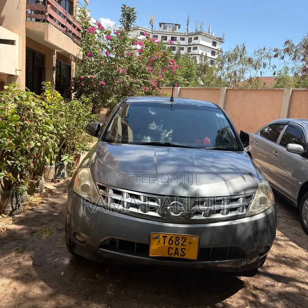 Nissan Murano 2005 Silver