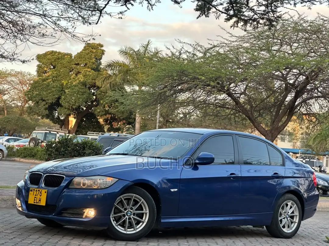 BMW 3 Series 2010 Blue