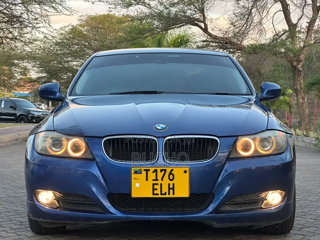BMW 3 Series 2010 Blue