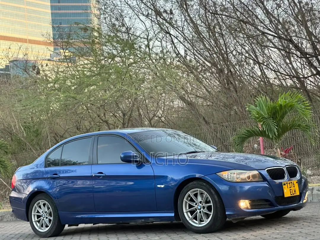 BMW 3 Series 2010 Blue